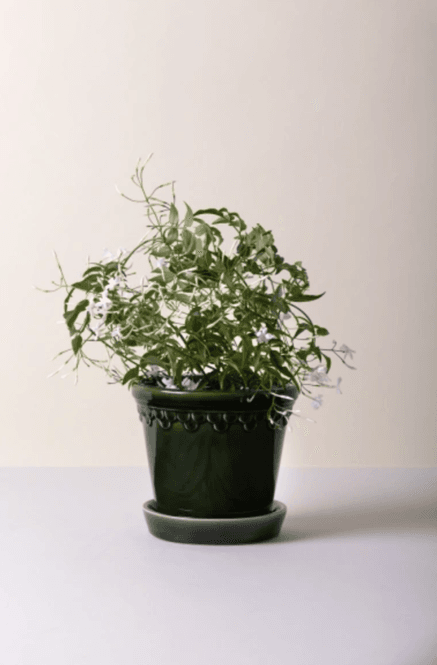 Hovedbilde Bergs Potter -Københavner Glazed Emerald Green i ...