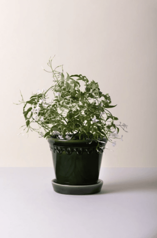 Bergs Potter -Københavner Glazed Emerald Green i str 14 cm 