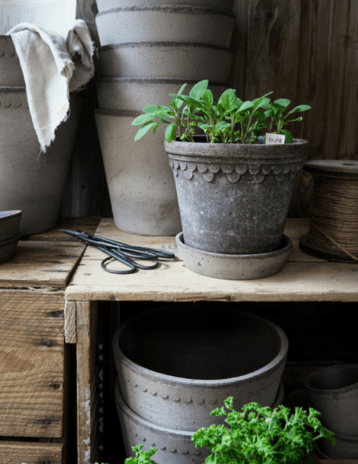 Hovedbilde Bergs Potter Københavner  RAW Grey 