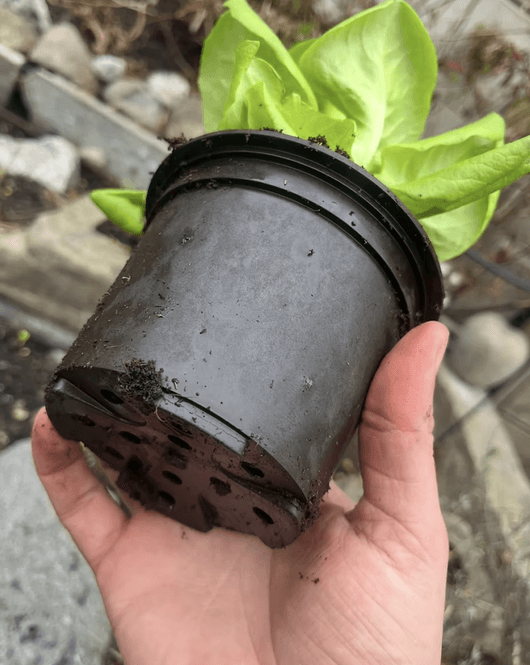 Hovedbilde Ullpotte fra Woolero