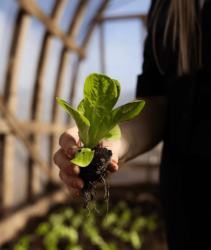 Ullpellets 0,7 Liter