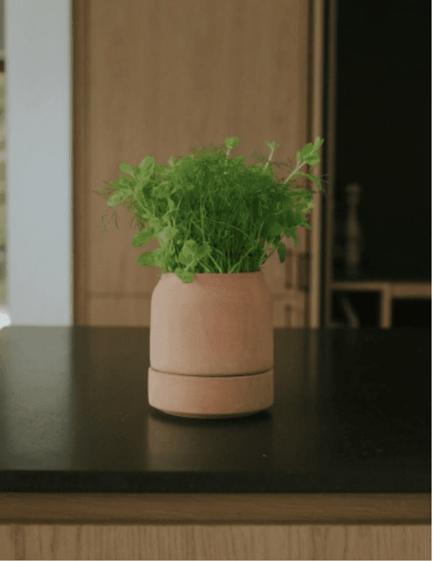 Bergs Potter Viva RAW Rosa 14 cm